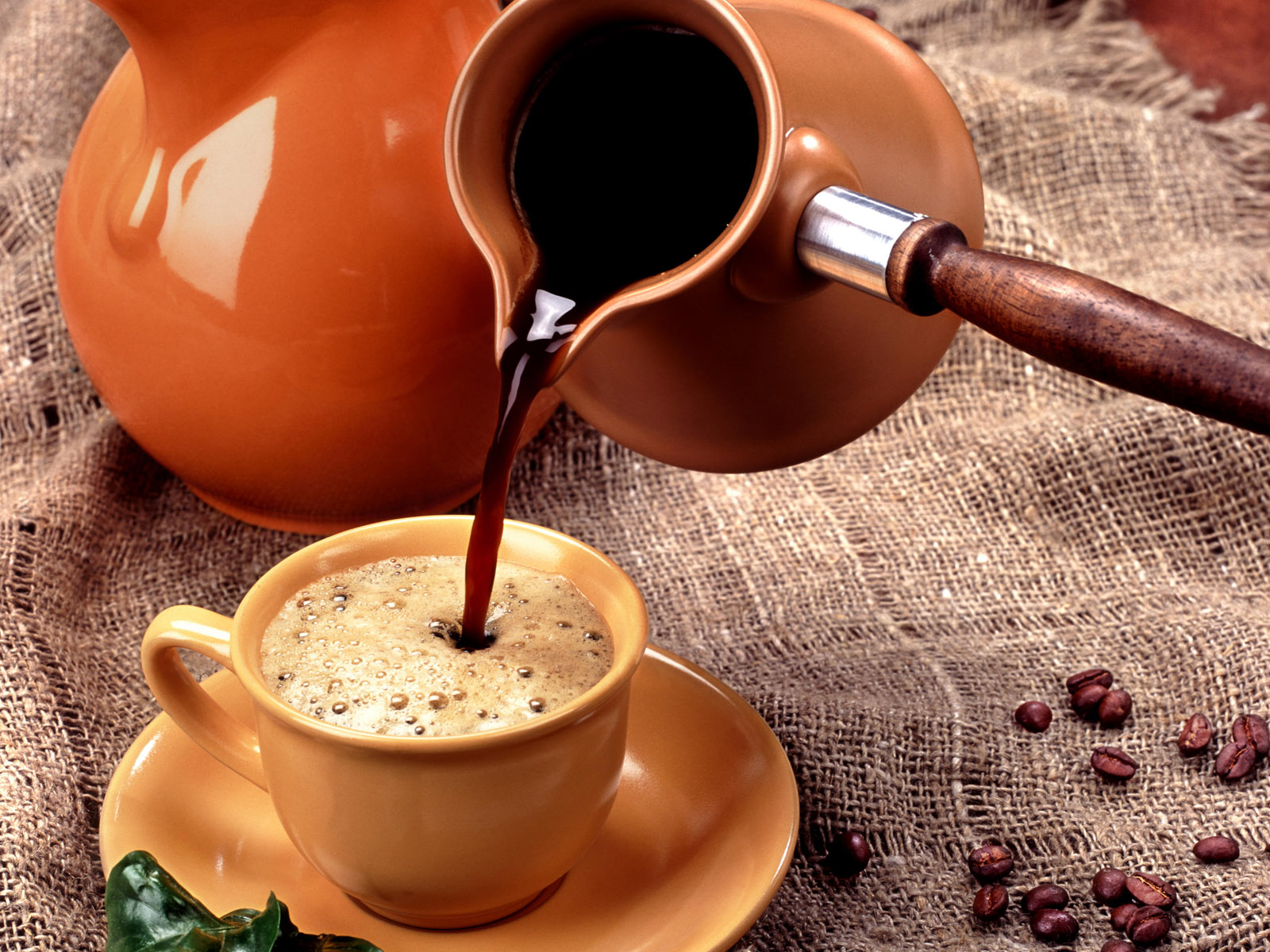 10种最多米体育常见的咖啡