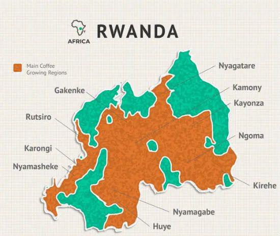多米体育咖啡词典 卢旺达(图3)