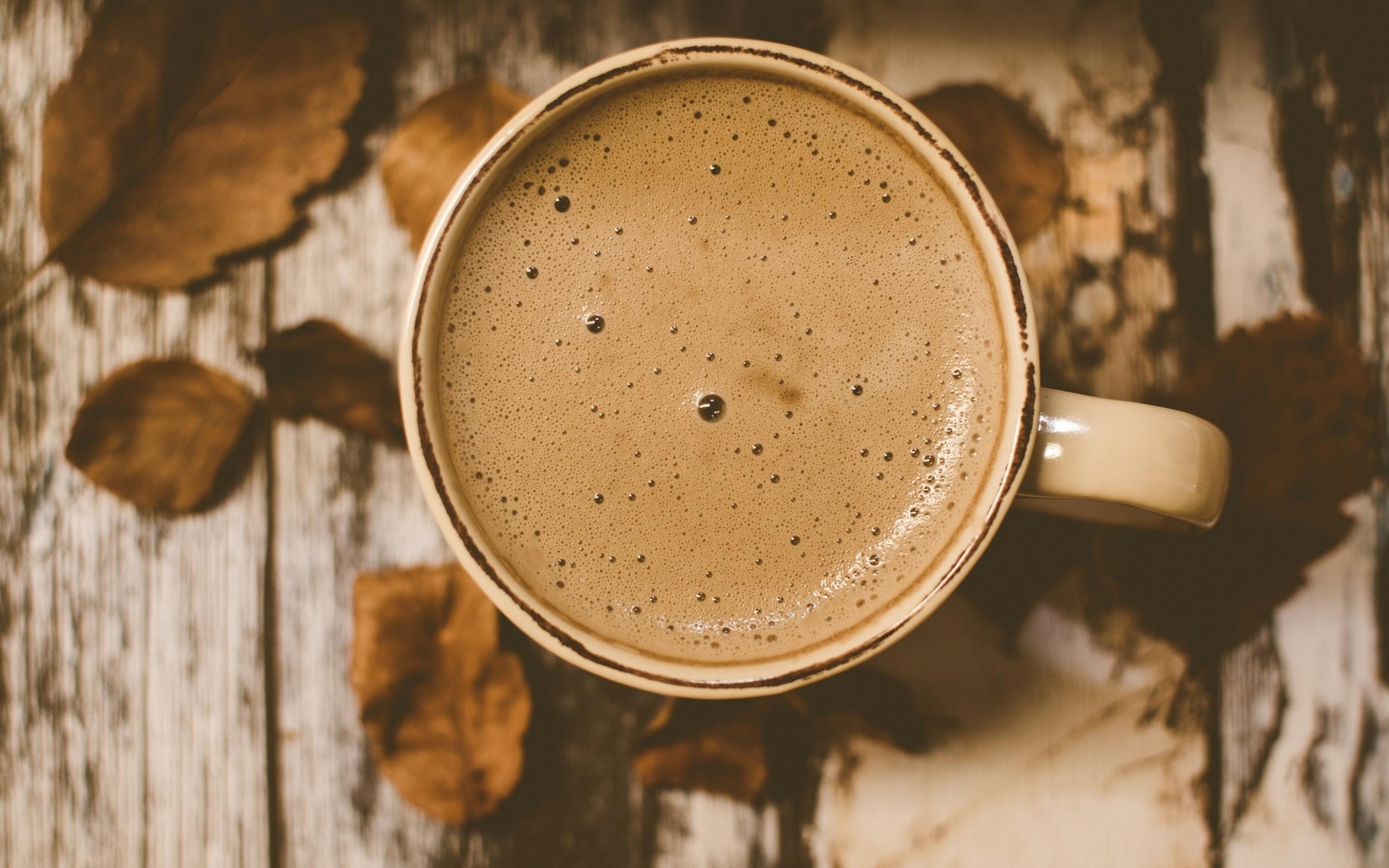 多米体育猫屎咖啡：世界上最“顶级”的咖啡它们到底是如何生产出来的？