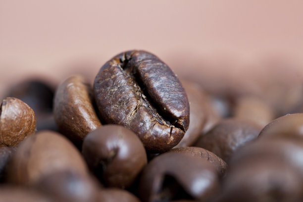 多米体育咖啡工厂每天认识一款咖啡之巴西咖啡
